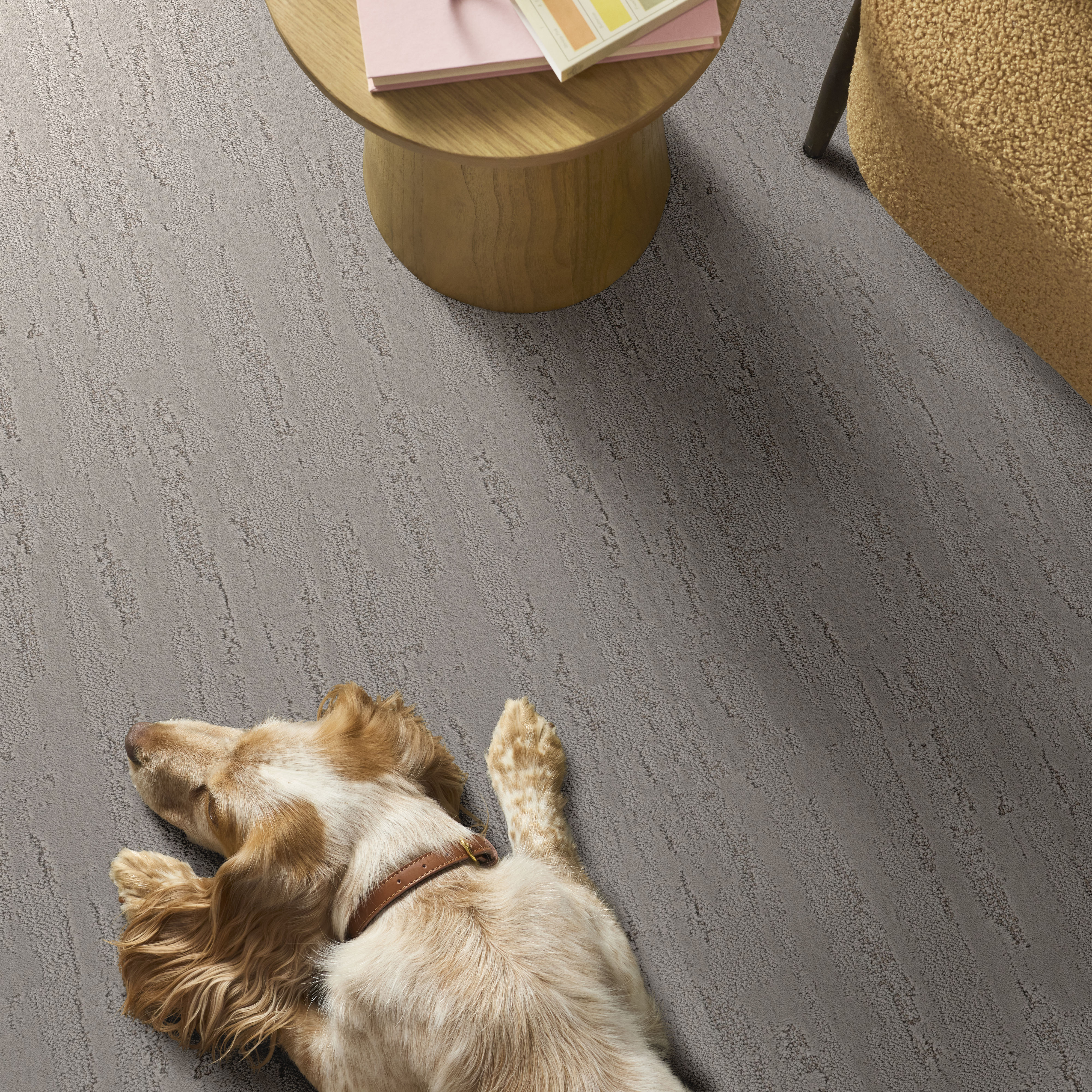 Tranquil Spirit - Rock Crystal Carpet | Shaw Floors